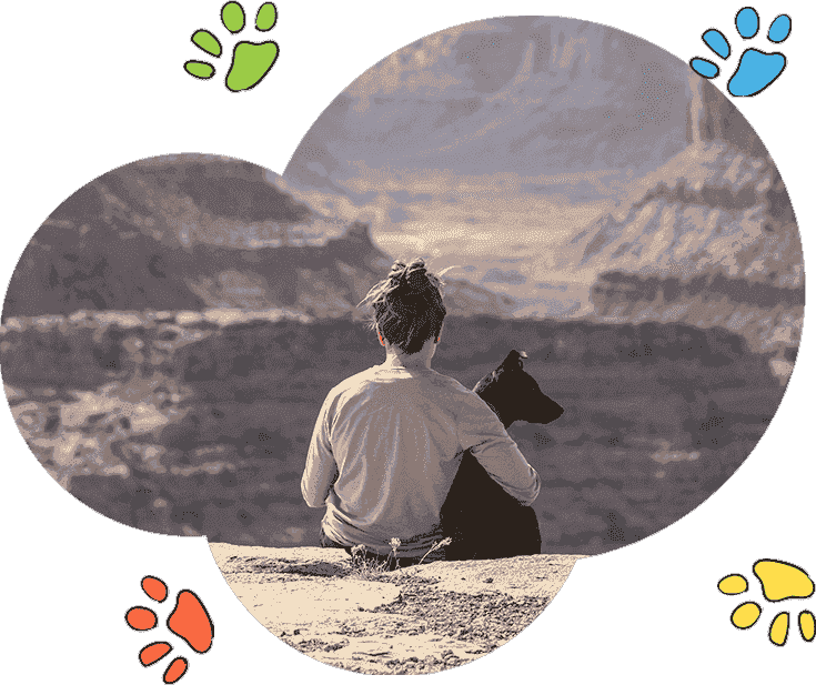 ddos压力测试平台