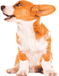 怎么去攻击一个网站与防护